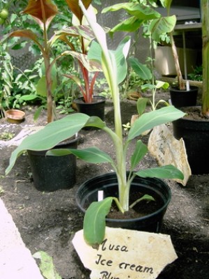 PICT0015.JPG