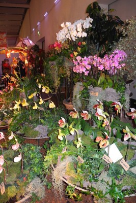DSCN2730.jpg