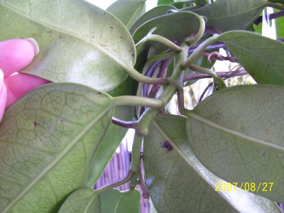 100_1021.JPG