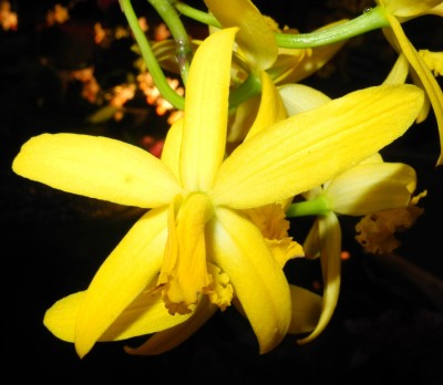 DSCN2626.jpg