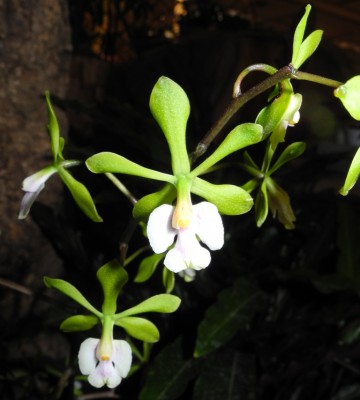 DSCN2656.jpg