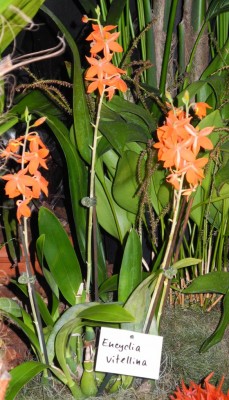 DSCN2596.jpg