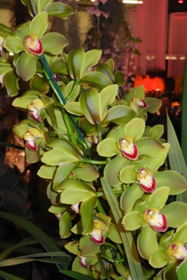 DSCN2667.jpg