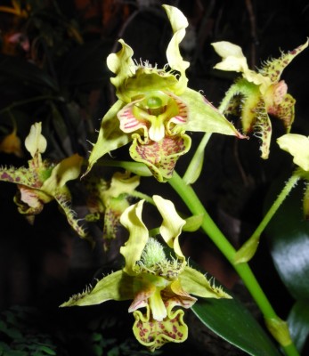 DSCN2658.jpg