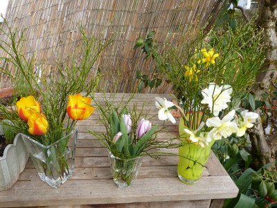 P1020184 Gestrüpp Tanzbrunnen.jpg