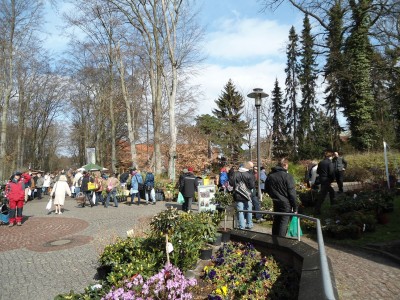 Staudenmarkt1.JPG