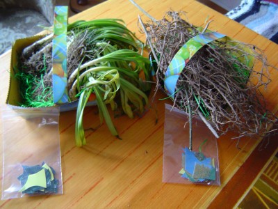 Osterwichtel (2).jpg