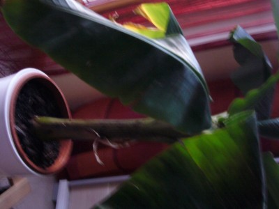 P1050711.JPG