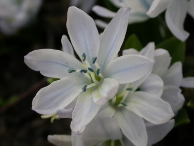 12-04-02-lösung.JPG