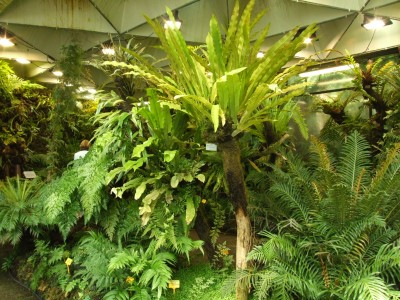 DSCF0187.JPG