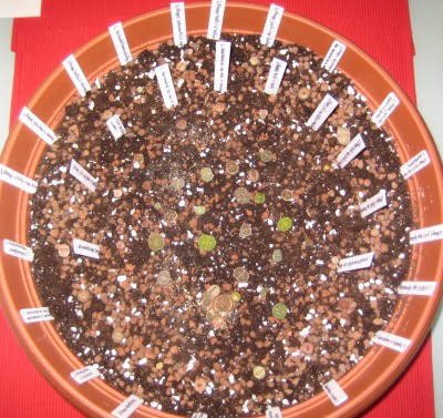 Bild green24 3 773.jpg