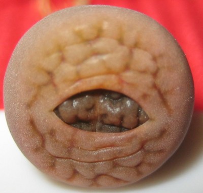 Bild green24 3 768.jpg