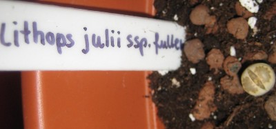 Bild green24 3 785.jpg