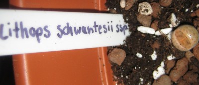 Bild green24 3 784.jpg