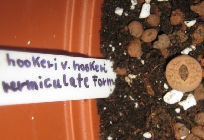 Bild green24 3 777.jpg