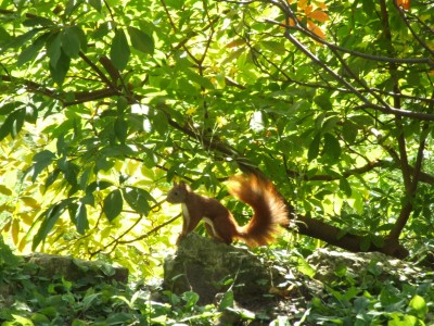 DSCF0215.JPG
