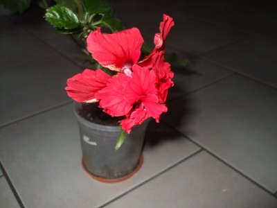 DSCF0567.JPG