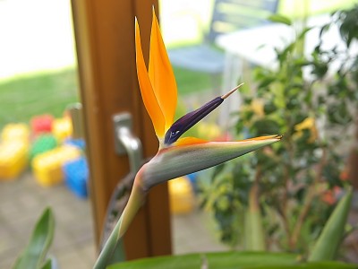 P4074542.jpg