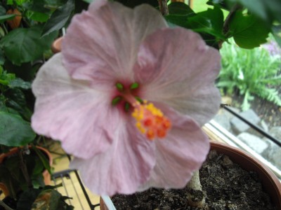 IMGP2855.JPG