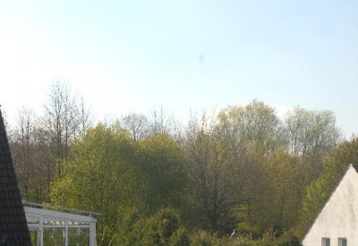 Green 013yy.jpg