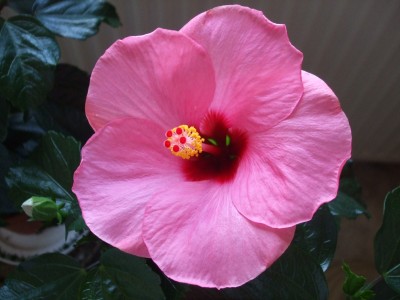 DSCF0569.JPG