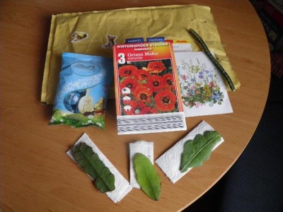 Nach dem auspacken.jpg