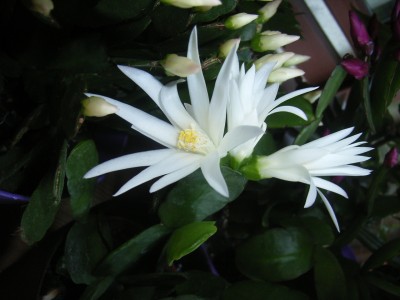 RIMG0602.JPG
