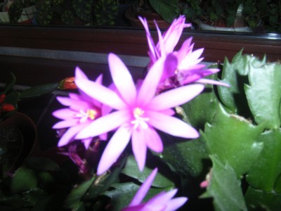 RIMG0601.JPG