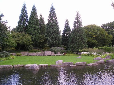 P8260013_01.jpg