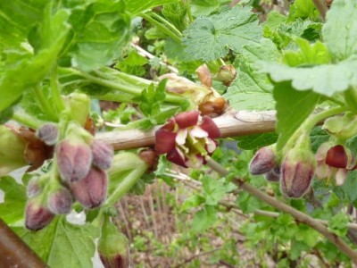 20120407 023 (800x600).jpg