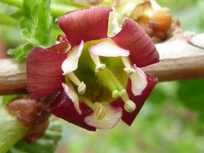 20120407 022 (800x600).jpg