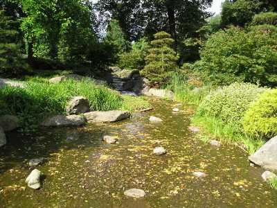 P8260017_01.jpg