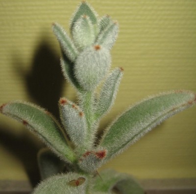 Bild green24 3 840.jpg