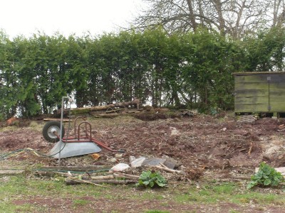 Schrebergarten2.JPG