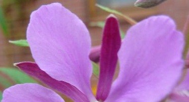 raetsel2 - Kopie.jpg