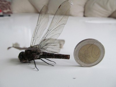 April-2012-02.JPG