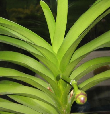 Bild green24 3 853.jpg
