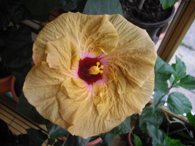 IMGP2874.JPG