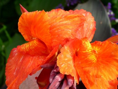 PICT0011.JPG
