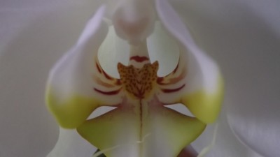 DSCF1265.jpg