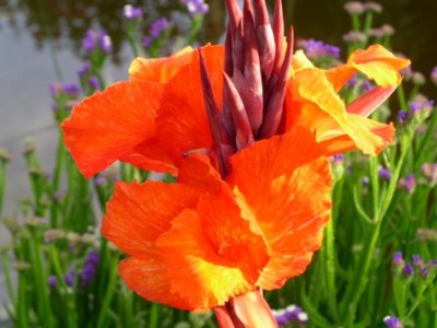 PICT0010.JPG