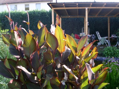 PICT0394.JPG