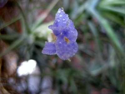 IMG_3664 (640x480).jpg