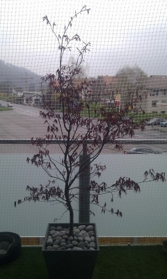 IMAG0386.jpg
