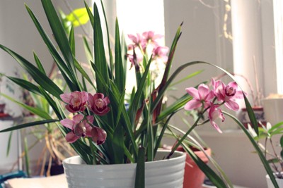 14_april2012.jpg