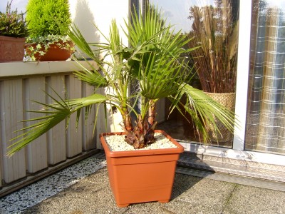 26.08.07.JPG
