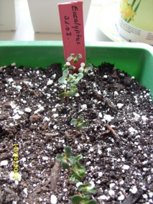 Photo4.jpg