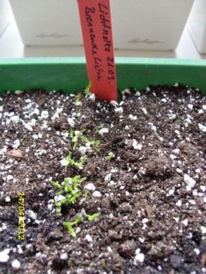 Photo3.jpg