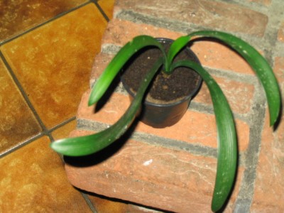 100_0007.JPG