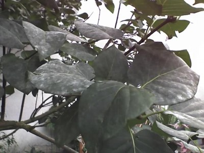 28-08-07_1856.jpg